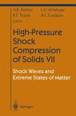 High-Pressure Shock Compression of Solids VII (eBook, PDF)