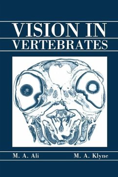 Vision in Vertebrates (eBook, PDF) - Ali, M. A.