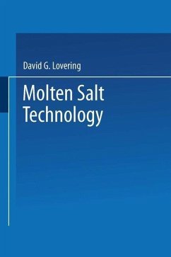 Molten Salt Technology (eBook, PDF) - Lovering, David G.