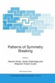 Patterns of Symmetry Breaking (eBook, PDF)