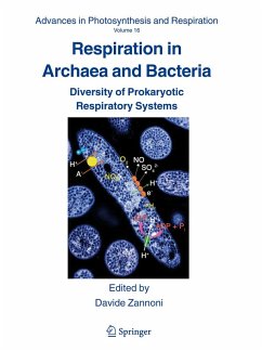 Cover Respiration in Archaea and Bacteria (eBook, PDF)