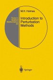 Introduction to Perturbation Methods (eBook, PDF)