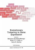 Evolutionary Tinkering in Gene Expression (eBook, PDF)