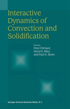 Interactive Dynamics of Convection and Solidification (eBook, PDF)
