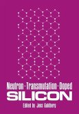Neutron-Transmutation-Doped Silicon (eBook, PDF)