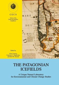 The Patagonian Icefields (eBook, PDF)