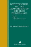 Cost Structure and the Measurement of Economic Performance (eBook, PDF)