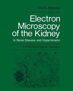 Cover Electron Microscopy of the Kidney (eBook, PDF)
