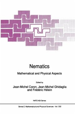 Cover Nematics (eBook, PDF)