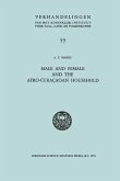 Male and Female and the Afro-Curaçaoan Household (eBook, PDF)