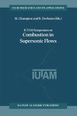IUTAM Symposium on Combustion in Supersonic Flows (eBook, PDF)