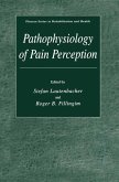 Pathophysiology of Pain Perception (eBook, PDF)