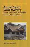 Sea-Level Rise and Coastal Subsidence: Causes, Consequences, and Strategies (eBook, PDF)