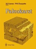 Paleokarst (eBook, PDF)