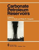 Carbonate Petroleum Reservoirs (eBook, PDF)