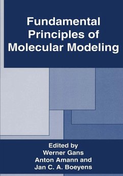 Fundamental Principles of Molecular Modeling (eBook, PDF)