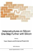 Heterostructures on Silicon: One Step Further with Silicon (eBook, PDF)