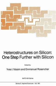 Cover Heterostructures on Silicon: One Step Further with Silicon (eBook, PDF)