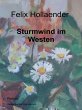 Sturmwind im Westen (eBook, ePUB) - Bild 1
