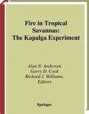 Fire in Tropical Savannas (eBook, PDF)