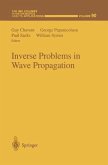 Inverse Problems in Wave Propagation (eBook, PDF)