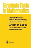 Gröbner Bases (eBook, PDF)