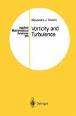 Vorticity and Turbulence (eBook, PDF)