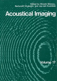 Cover Acoustical Imaging (eBook, PDF)