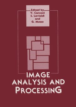 Image Analysis and Processing (eBook, PDF) - Cantoni, Virginio; Musso, G.