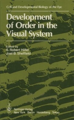 Development of Order in the Visual System (eBook, PDF)
