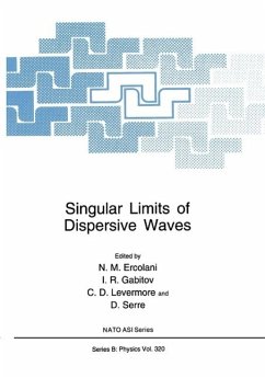 Singular Limits of Dispersive Waves (eBook, PDF)