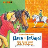 Klara + Krümel (4): Ein Pony und viele Gefahren (MP3-Download)