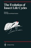 The Evolution of Insect Life Cycles (eBook, PDF)
