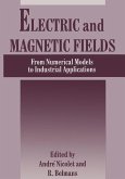 Electric and Magnetic Fields (eBook, PDF)
