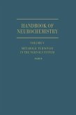 Metabolic Turnover in the Nervous System (eBook, PDF)