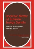 Hadronic Matter at Extreme Energy Density (eBook, PDF)