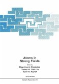 Atoms in Strong Fields (eBook, PDF)