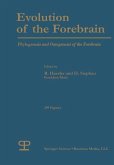 Evolution of the Forebrain (eBook, PDF) Evolution of the Forebrain (eBook, PDF)