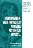 Mechanisms of Work Production and Work Absorption in Muscle (eBook, PDF)