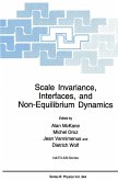 Scale Invariance, Interfaces, and Non-Equilibrium Dynamics (eBook, PDF)