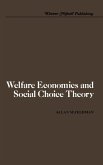 Welfare Economics and Social Choice Theory (eBook, PDF)