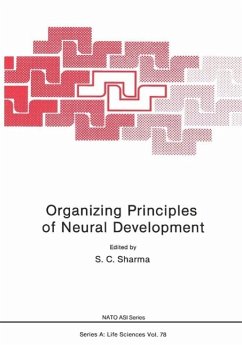 Organizing Principles of Neural Development (eBook, PDF)