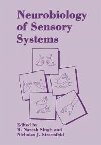 Neurobiology of Sensory Systems (eBook, PDF) - Naresh Singh, R.; Strausfeld, Nicholas J.