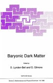 Baryonic Dark Matter (eBook, PDF)