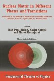 Nuclear Matter in Different Phases and Transitions (eBook, PDF)