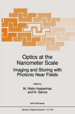Optics at the Nanometer Scale (eBook, PDF)