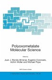 Polyoxometalate Molecular Science (eBook, PDF)