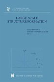 Large Scale Structure Formation (eBook, PDF)