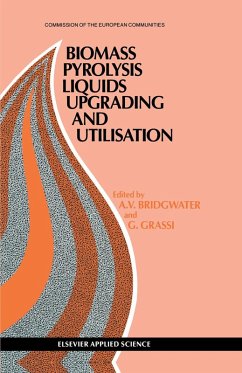 Biomass Pyrolysis Liquids Upgrading and Utilization (eBook, PDF)