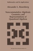 Noncommutative Algebraic Geometry and Representations of Quantized Algebras (eBook, PDF)